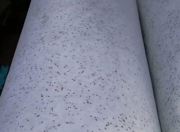 植生毯生態毯系列