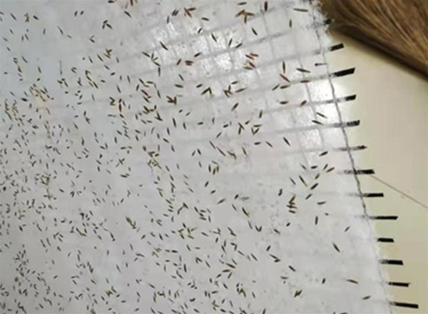 植生毯生態毯系列